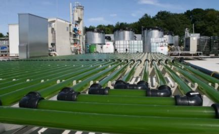 利用藻類發電促進循環性農業-1