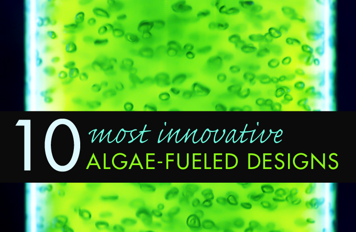 十大創新的藻類供電設計-1