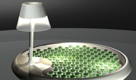 十大創新的藻類供電設計-8