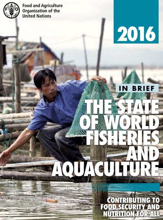 2016年世界漁業和水產養殖狀況-1