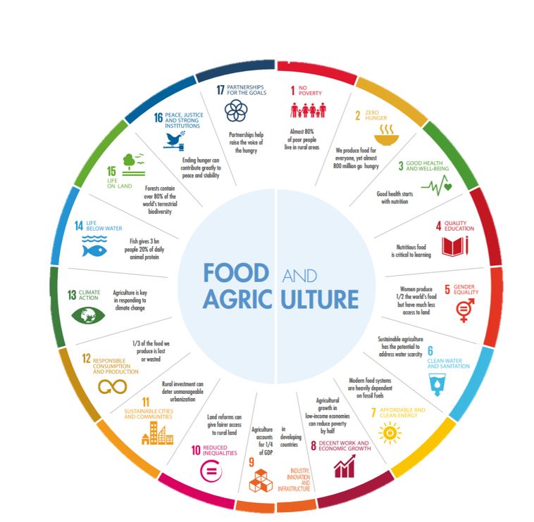 【國際】糧食和農業實現《2030年可持續發展議程》的關鍵-1
