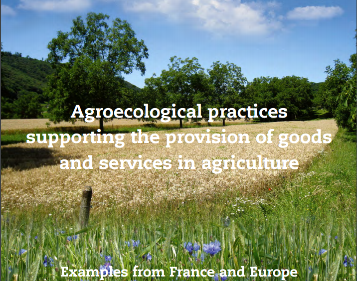 生態型農業的方式提供了農業的商品與服務-舉法國和歐洲為例-1