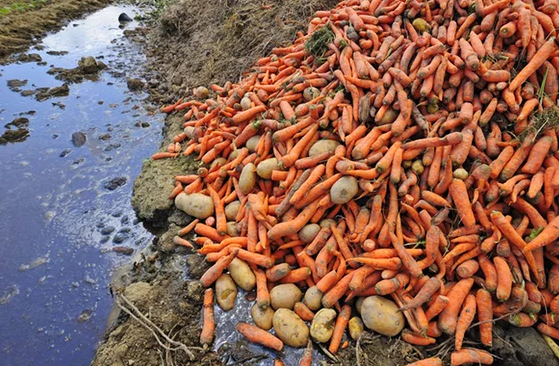 降低糧食的浪費有助於減緩氣候變化