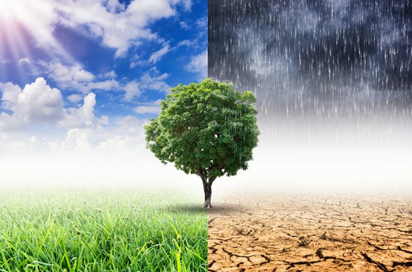【減量】COP21聯合國巴黎氣候協定大會後續追蹤(2/4) — 2020年氣候行動方案後之農業因應聚焦規畫與改善行動