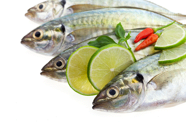 魚鱗膠原蛋白有助血管傷口癒合