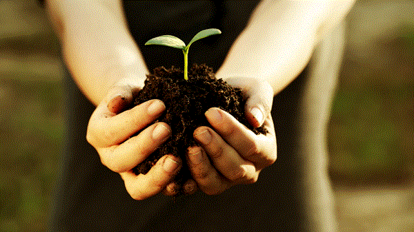 可經生物降解的植物保護產品，促進環境永續