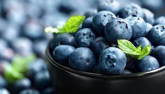 改善藍莓缺鐵的永續性方法