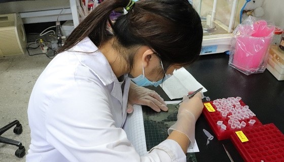 食用的臺灣原生海木耳　可望成為高階保健食品原料