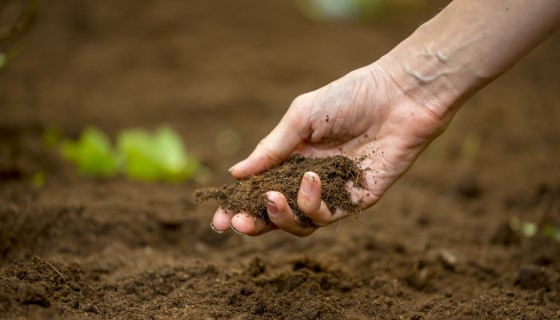 一種永續的耕作方式- 永續土壤管理，拯救地中海土地