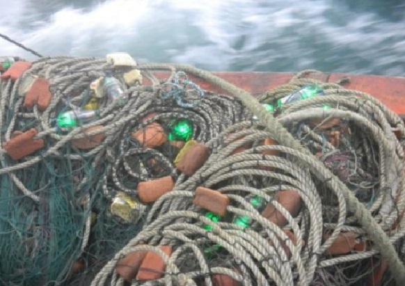 安裝綠色LED燈在漁網上，可減少誤捕海龜-1