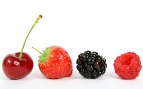 水果的香氣在生態系扮演的功能-1