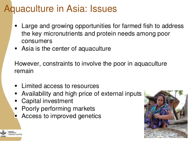 亞洲畜牧與漁業研發所面臨的機會與挑戰-15