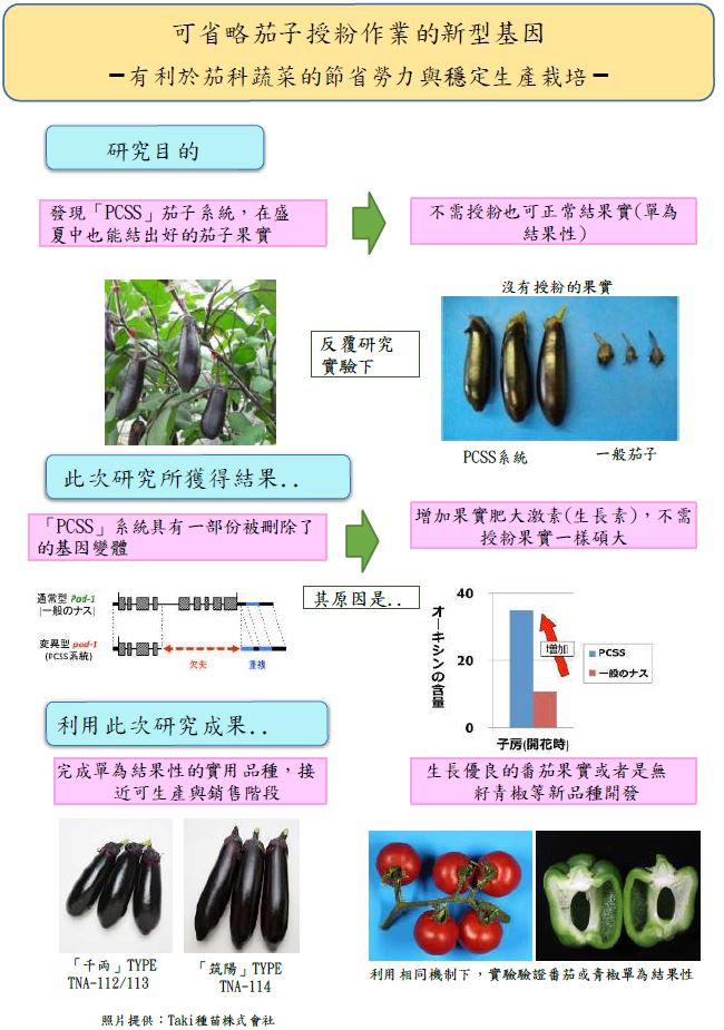 【日本】2015年十大農業技術研究-可省略茄子授粉作業的新型基因-有利於茄科蔬菜的節省勞力與穩定生產栽培-2