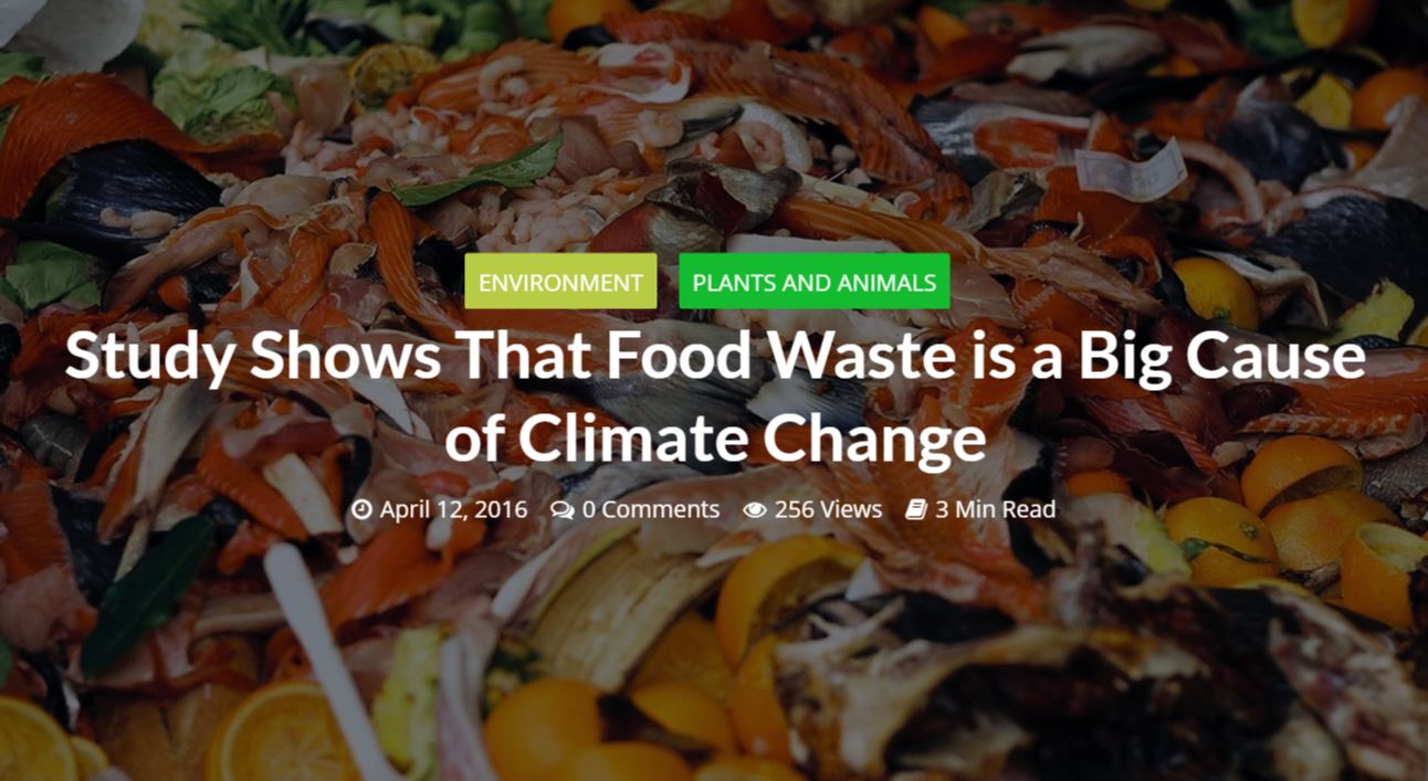 【國際】氣候改變的其中一個因素是食物的浪費-1