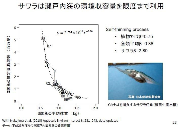 日本漁業種苗放流近一甲子的回顧-19
