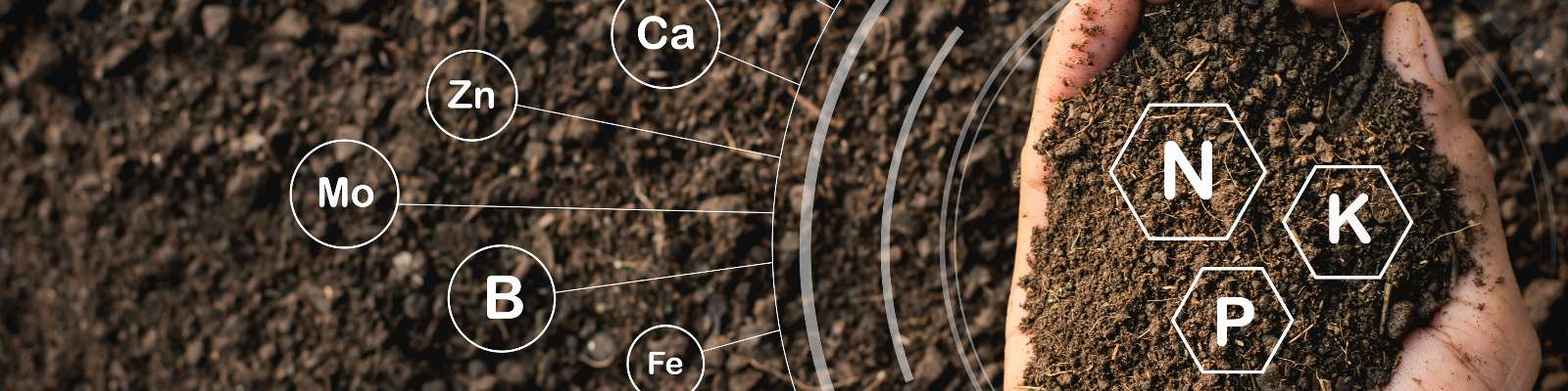 智慧土壤傳感器可以減少肥料對環境的破壞