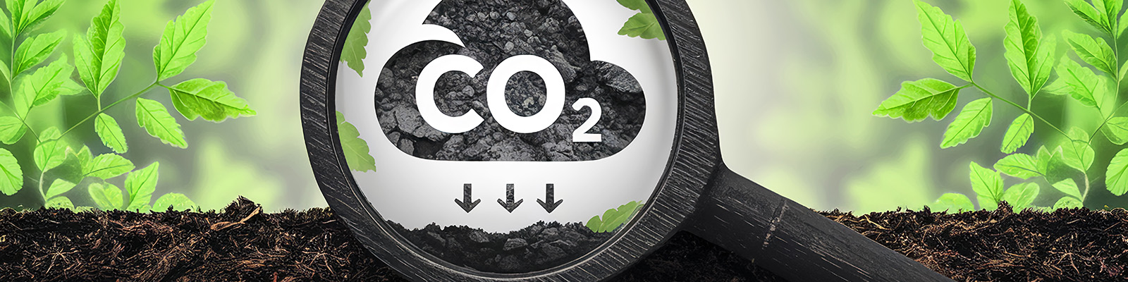 將農業從碳源轉變為碳匯：碳封存潛力