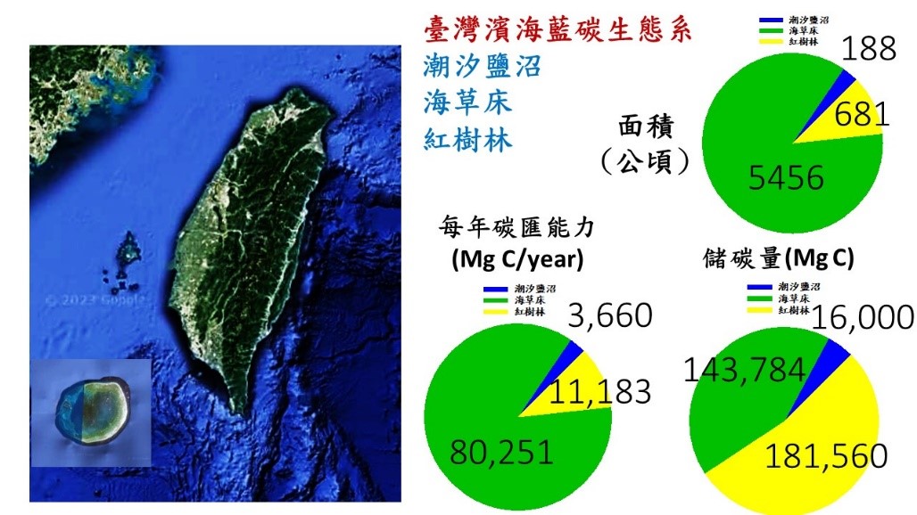 臺灣潮汐鹽沼、海草床和紅樹林藍碳生態系面積、每年碳匯能力、及碳儲量