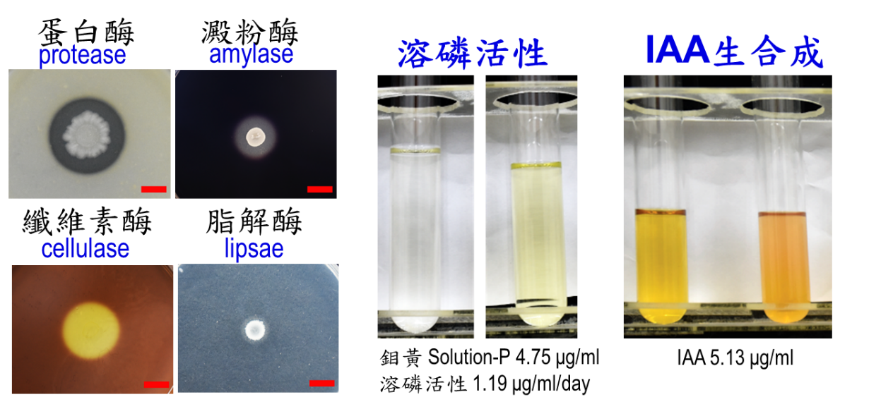 永續農業的植物保健產品研發與應用-7