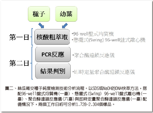 絲瓜雜交種子純度檢測技術-2