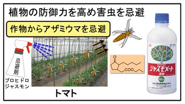 不用殺蟲！日本研發新型驅蟲劑－提高植物防禦能力，有效驅除害蟲-1
