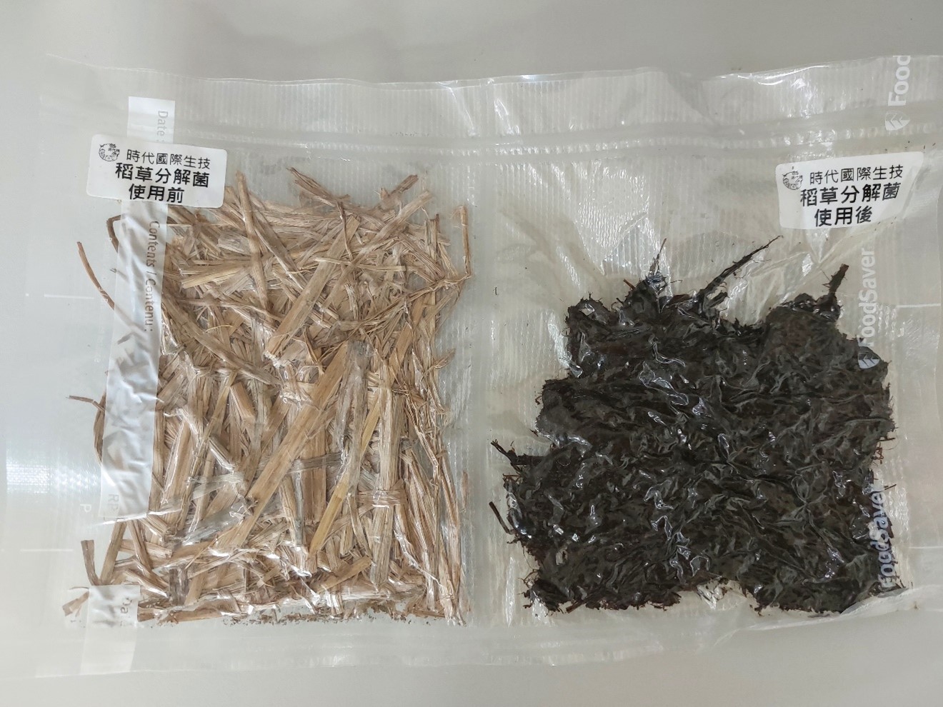 速效稻草分解菌液態發酵量產與應用技術-2