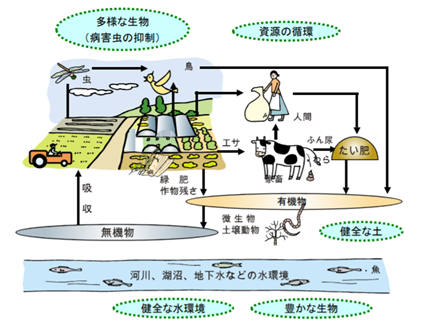 【綠趨勢】從日本看與自然資源相連結的環境保全型農業-2