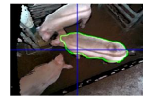 日本宮崎大學利用AI與AR技術研發自動判斷豬重量的智慧眼鏡-3