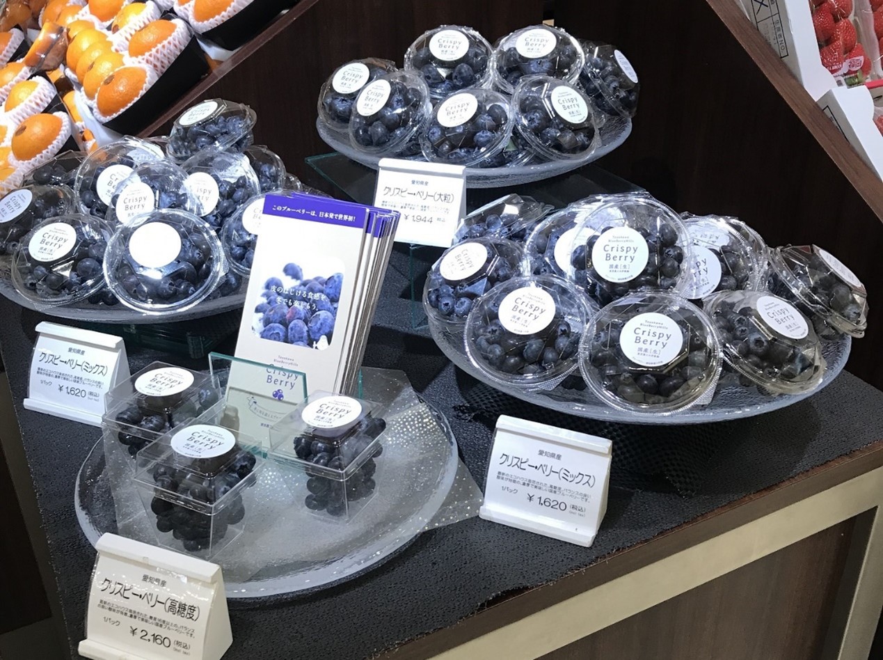日本第一家果樹工廠全年可採摘藍莓並成功於伊勢丹百貨銷售-4