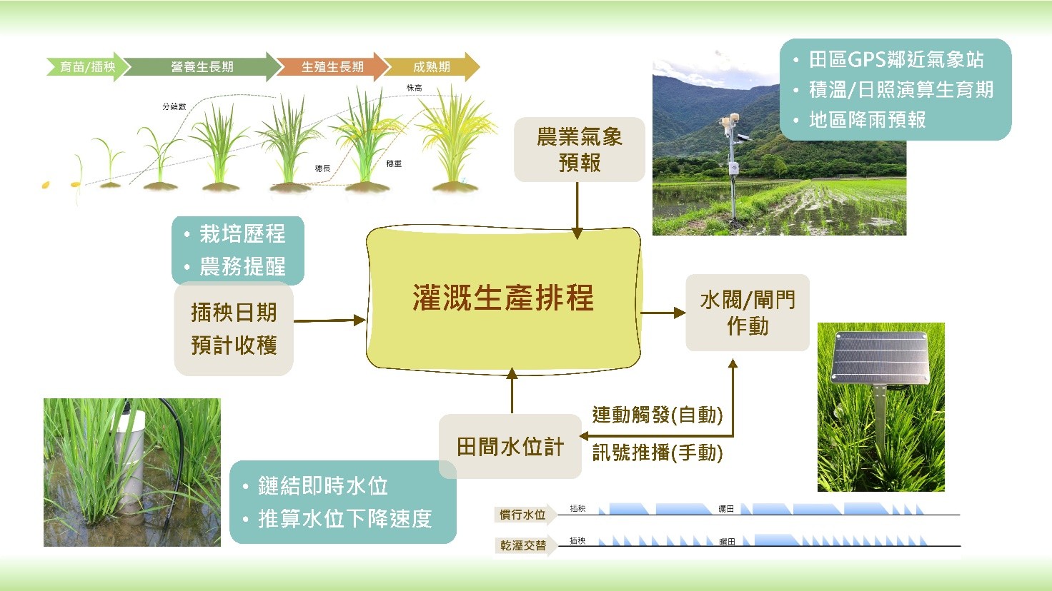 水稻生產智能化灌溉程式模組-1