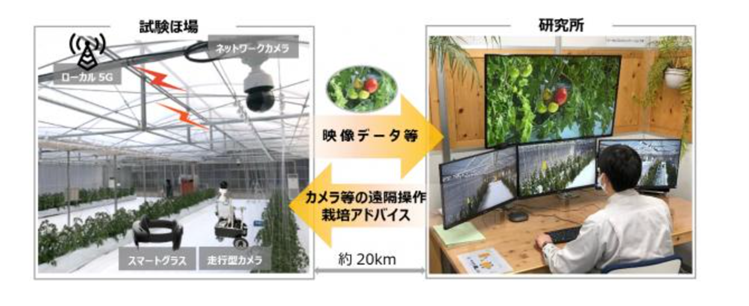 日本發展區域型Local 5G新農業技術-以東京智慧農業為例-2