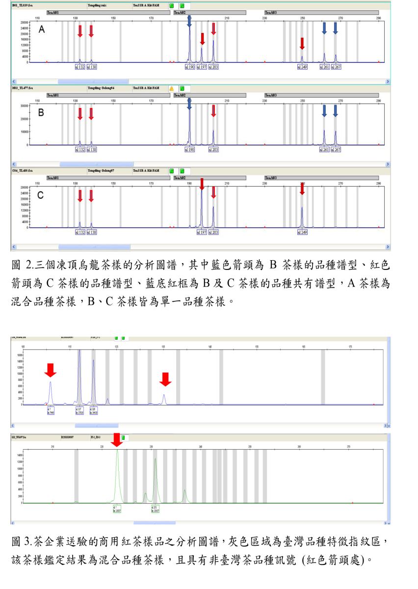 臺灣茶品種鑑定最佳利器-茶葉DNA指紋鑑定技術-2