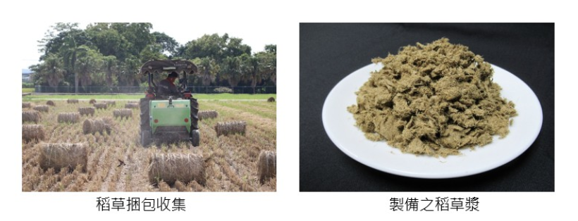 稻草製漿製程優化技術-1