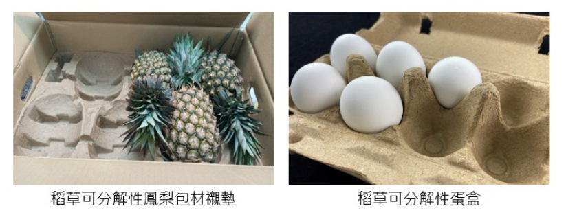 稻草製漿製程優化技術-2