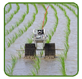 開發水田用小型除草機器人「鴨子機器人」-1