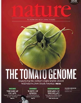 透過全球合作、番茄全基因解析成功!-1