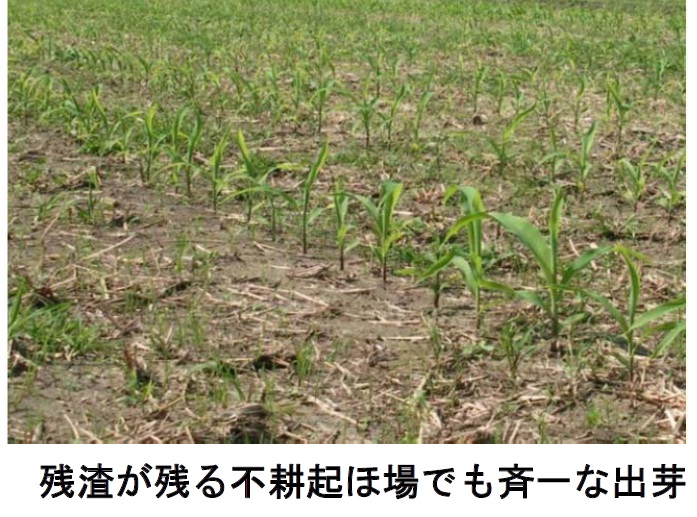 高速免耕播種機-可望更輕鬆的種植飼料玉米--1