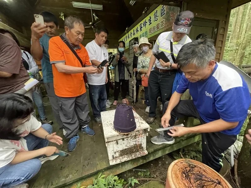 林下經濟新亮點！用國產材造蜂箱 保護天然林、創造收入-2