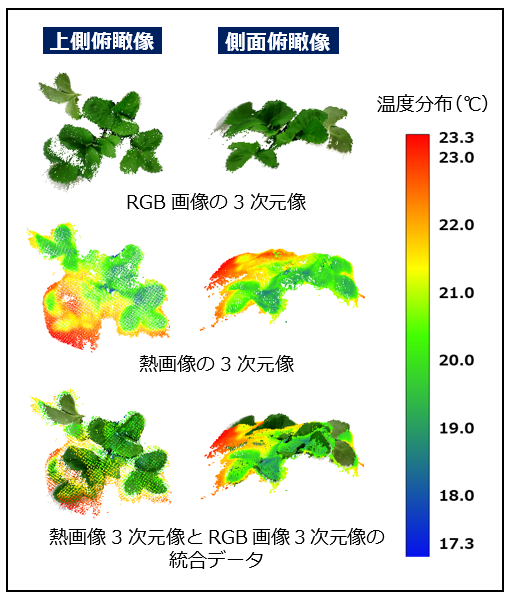 植物表面溫度3D測量技術-1
