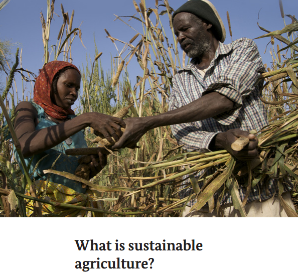 什麼是可持續發展的農業？