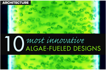 十大創新的藻類供電設計