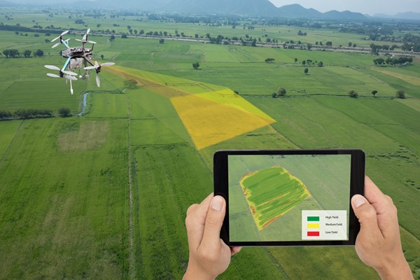 歐盟未來的網絡農場將利用蜂群演算法的無人機、機器人和感測器來幫助農事測量