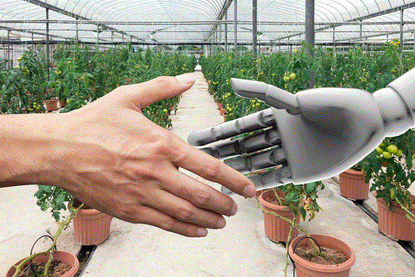 機器人能加速農業數據收集