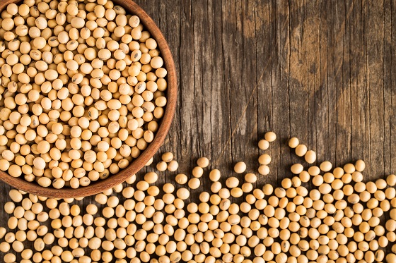 發酵豆粕作為魚飼料替代物的潛力
