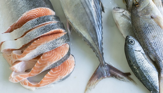 正確食品標示的基改鮭魚產品可望正式在美國販售