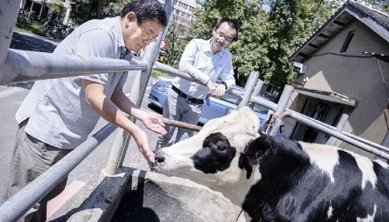 師生協力　推動牛、羊傳染性疾病自主快速檢測技術普及化