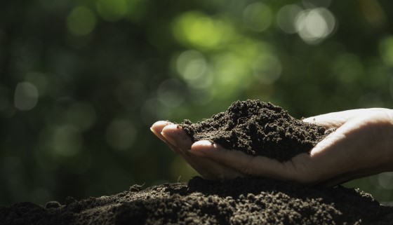 【減量】減少氮肥施作的土地經營管理措施恐受氣候變遷的影響而改變