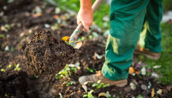 富含營養的發酵副產物可望做為土壤新興肥料