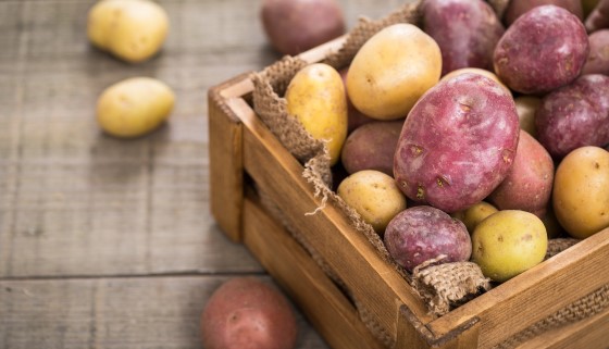 藉由無人機技術應用，精準監測馬鈴薯種植過程之氮肥使用