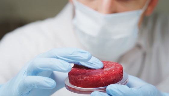 美國有關當局已公告規範以細胞培養之人造肉